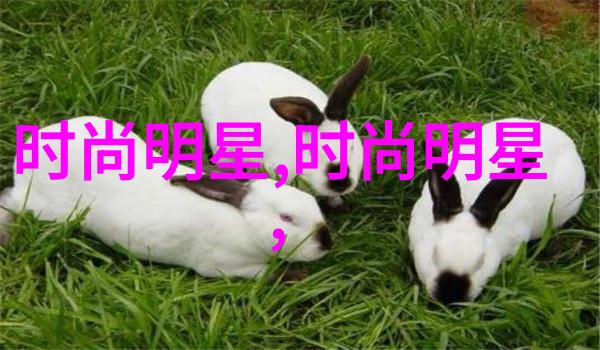 夏日蜜桃的甜蜜回忆熟透的果实和温暖的家园