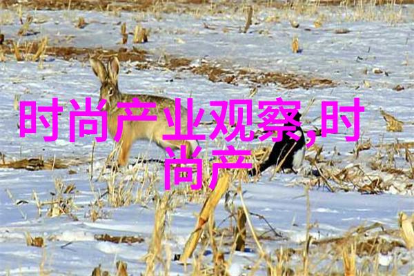 翁与小莹全目录第九篇 - 家风传承翁与小莹的故事