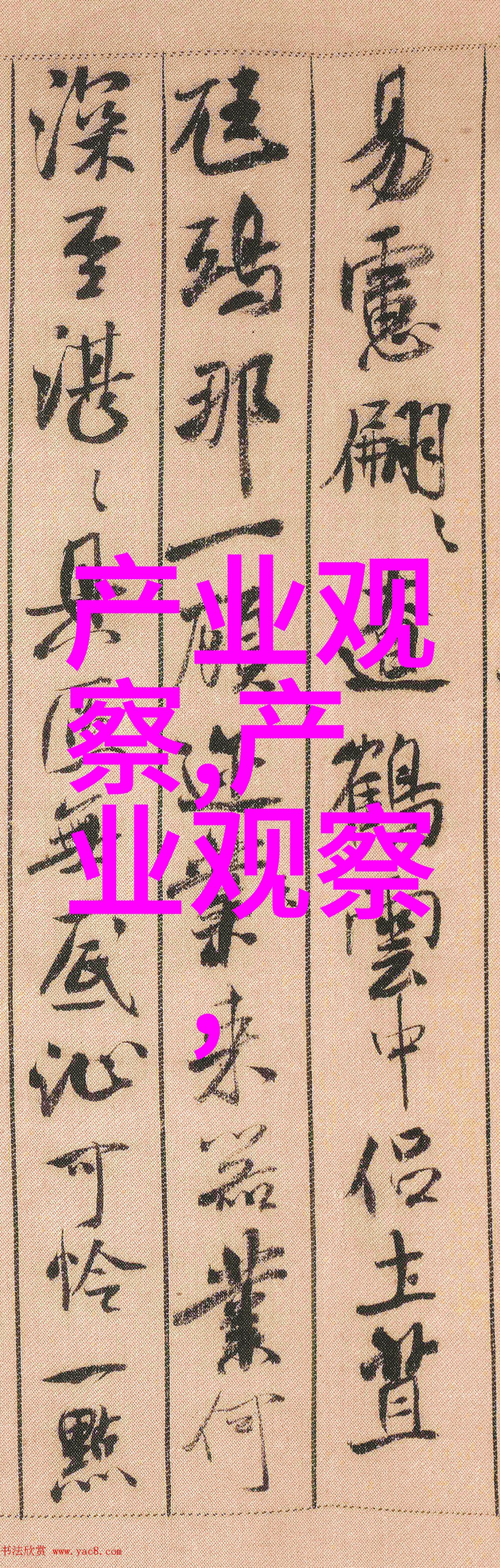 迈克尔重温美国经典2025秋季回响
