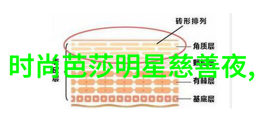 时尚界的新宠魅力短发的无限可能