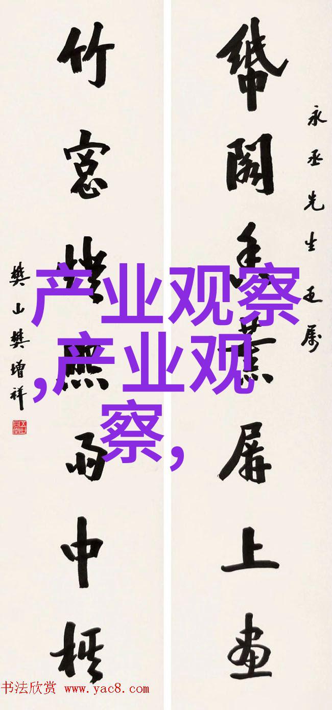 温暖纹理翩翩女士的羽绒梦裙