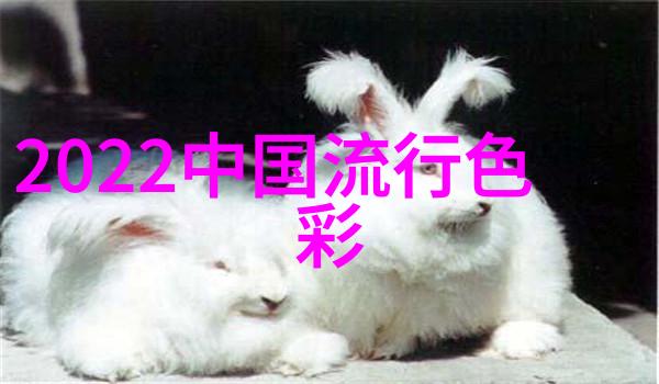 嫂子家的那碗汤真的能让人感受到善良的滋味