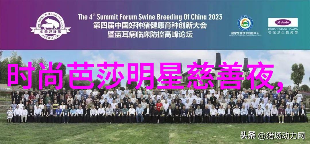 日产车主遭遇乱码卡2卡视频事件揭秘背后的原因与解决方案