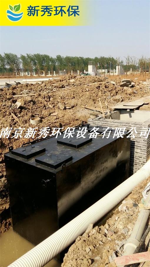 俄罗斯Zoom人与Zoom牛俄罗斯文化中的虚拟社交与动物互动