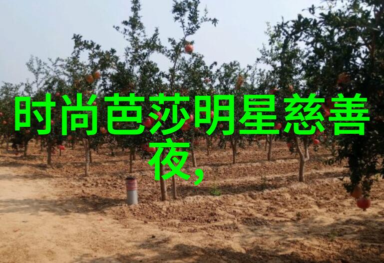 偷窥闺房-窗边的秘密揭开闺房之窗的神秘