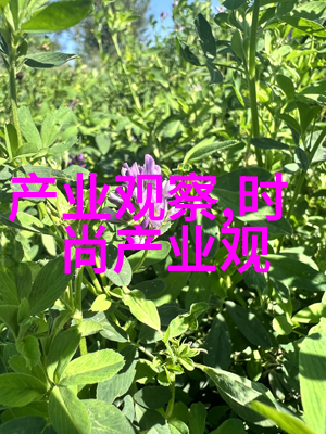 截至今日全球网友都在追逐哪些款式2023最新人气短发图片揭秘