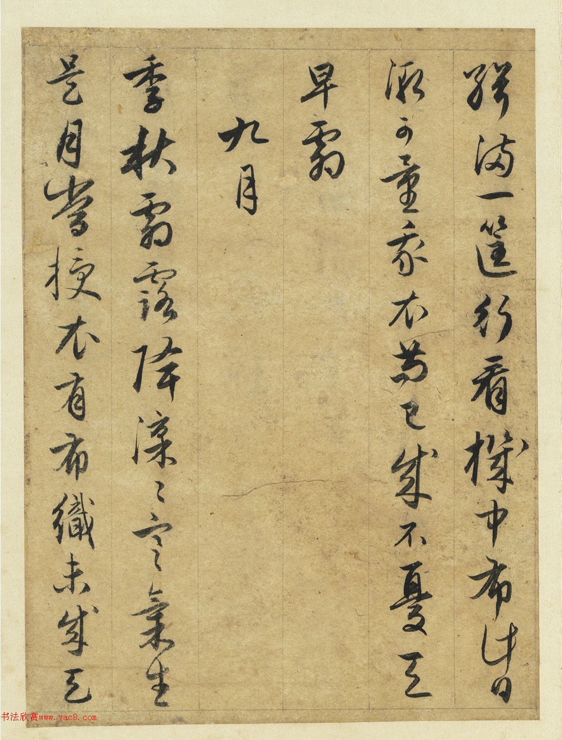 秘密之发揭开快速掌握美发艺术的神秘面纱