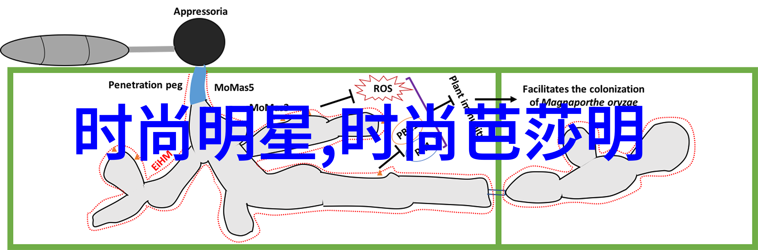 男士时尚-剔透纱质优雅风度男士大衣的复古魅力