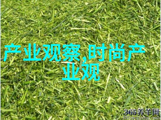 今年最流行发型女性美丽的短发革命让她轻松一整季
