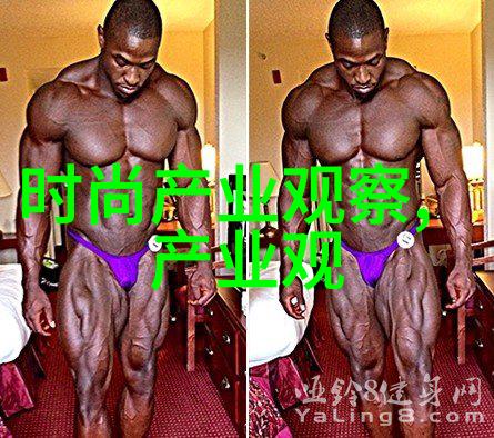 副手的光辉守护者与追求者