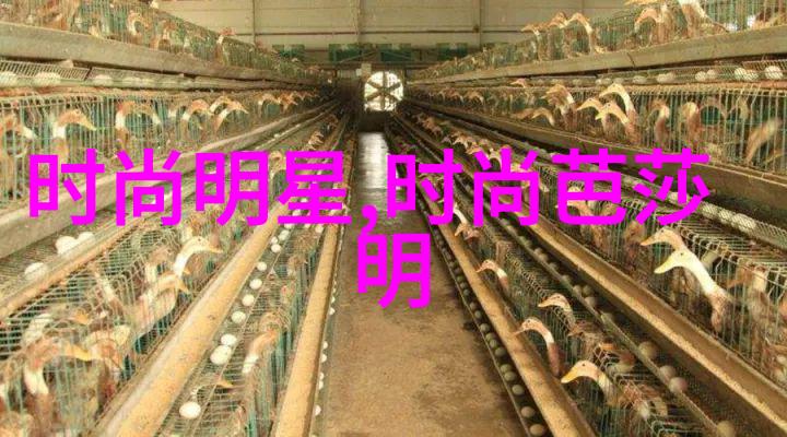 宝宝看看我是怎么进入你的心房一段奇妙的友谊探秘