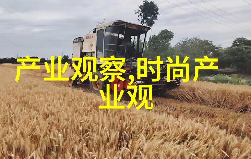 情人节礼物之选温馨心意与浪漫惊喜