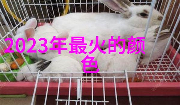 正规的美发培训到底有哪些要点