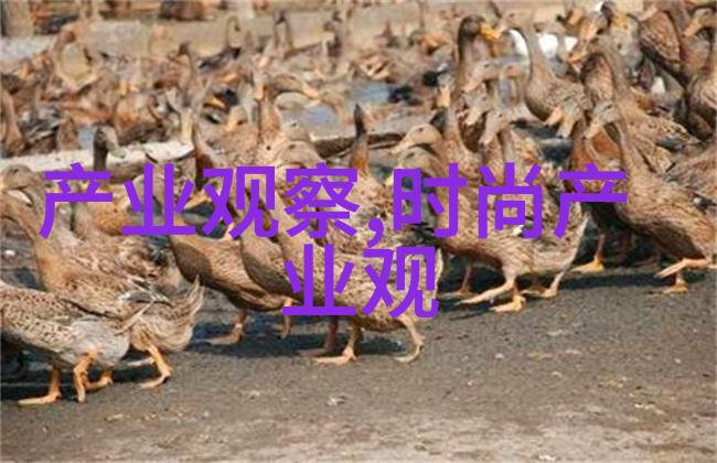 BB霜的秘密解析护肤精华与日常使用技巧
