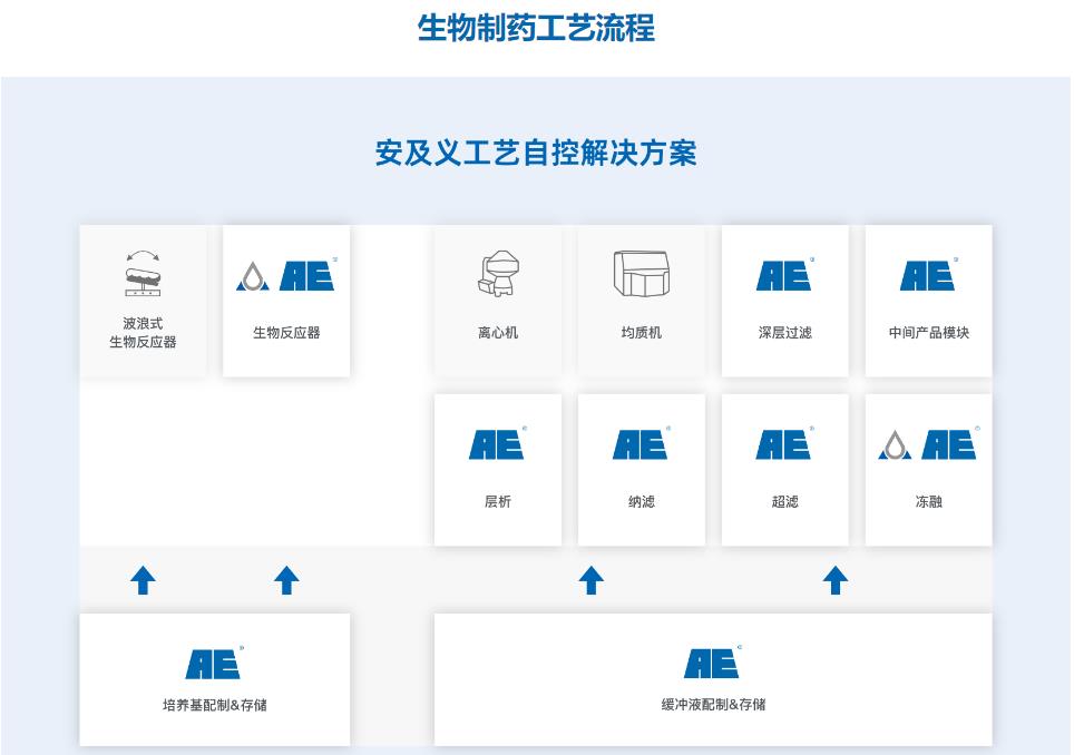 年轻母亲兔的故事