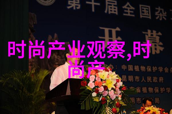 哥哥的故事成长与责任的双重奏鸣