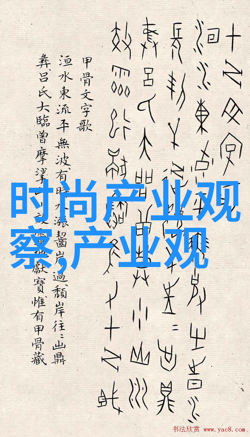 时尚眼镜我的视线的新宠儿