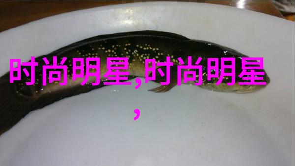 型男志-追逐时尚潮流型男的生活哲学与时尚指南