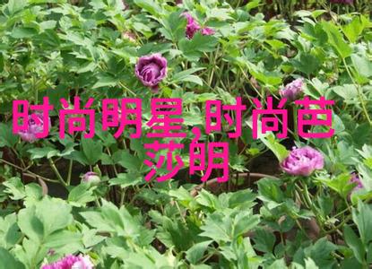 黄金笼 - 守护财富的黄金笼传说与现实中的价值象征