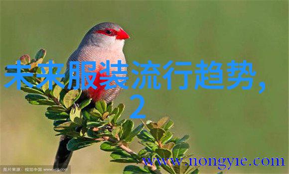 封神问道行英雄传说古风奇幻冒险