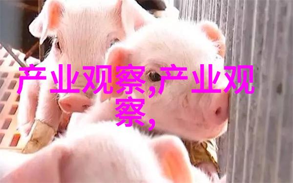 班长的课堂一堂未曾有的写作体验