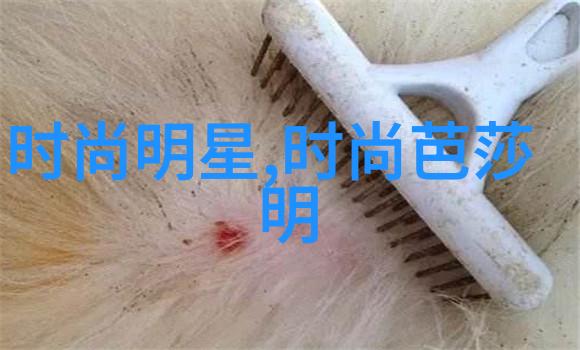 怎样避免不必要地损失毛髓使得新长出的头发生量更好看