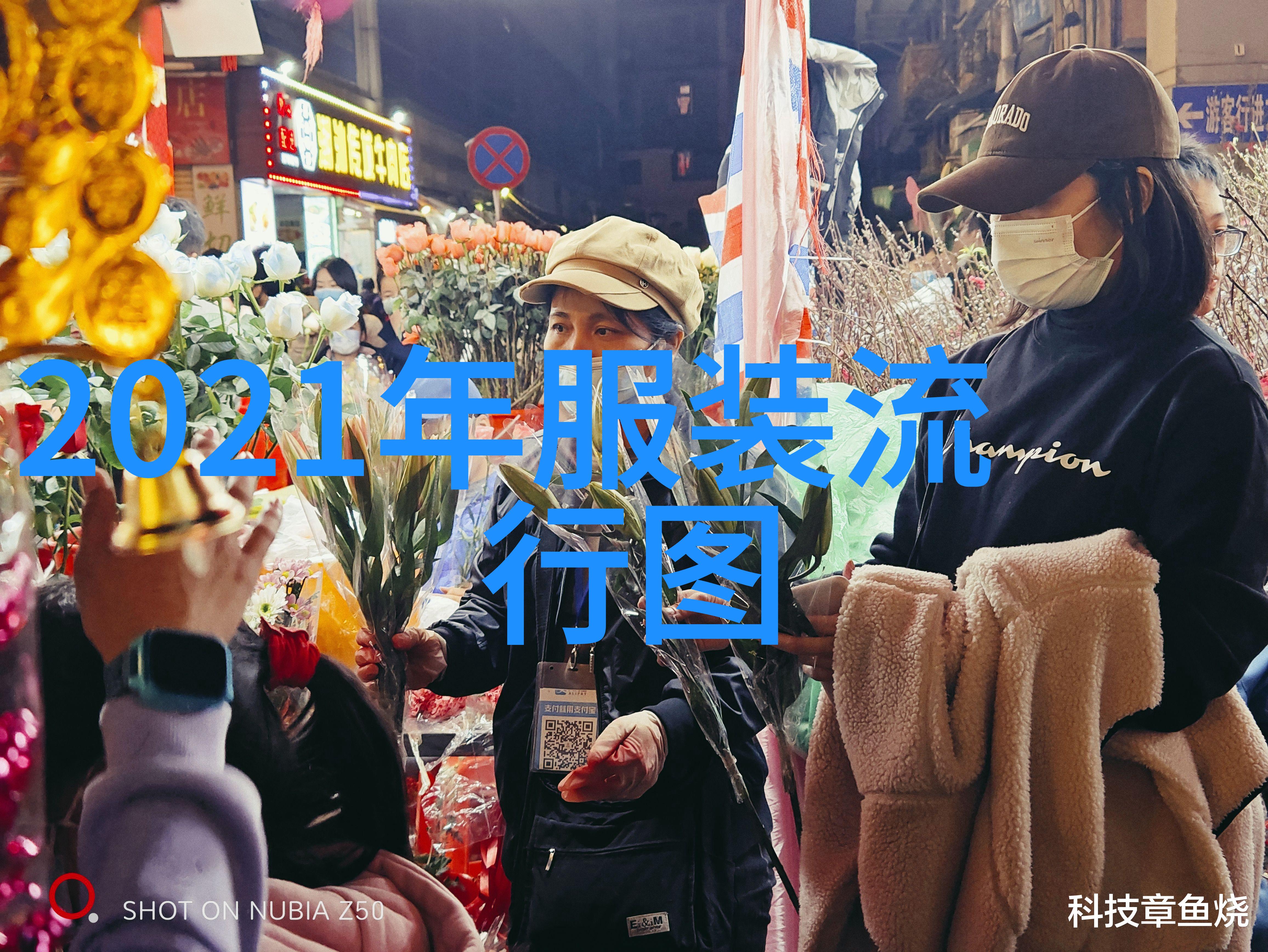 公主殿下的谨慎之旅守护荣耀与安全的故事总结