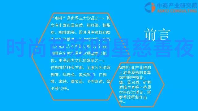 TXT青春的浪漫追逐梦想与挥霍青春的故事