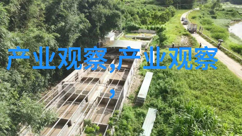 哪些瘦脸女生适合尝试女短发减龄发型图片大脸美女的瘦脸发型大全