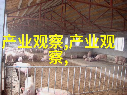 我等不及了现在就给我视频快递我的心情直播间的急切呼唤