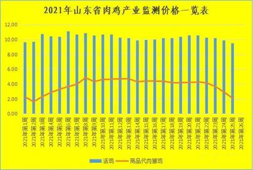 剪发之韵剪刀与头发的舞蹈