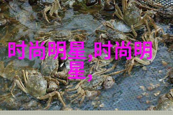 美发初学者基础教程我是如何从零到英雄的一本不长的美发新手指南
