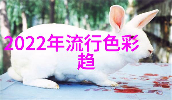 凉鞋夏季舒适的凉爽足饰