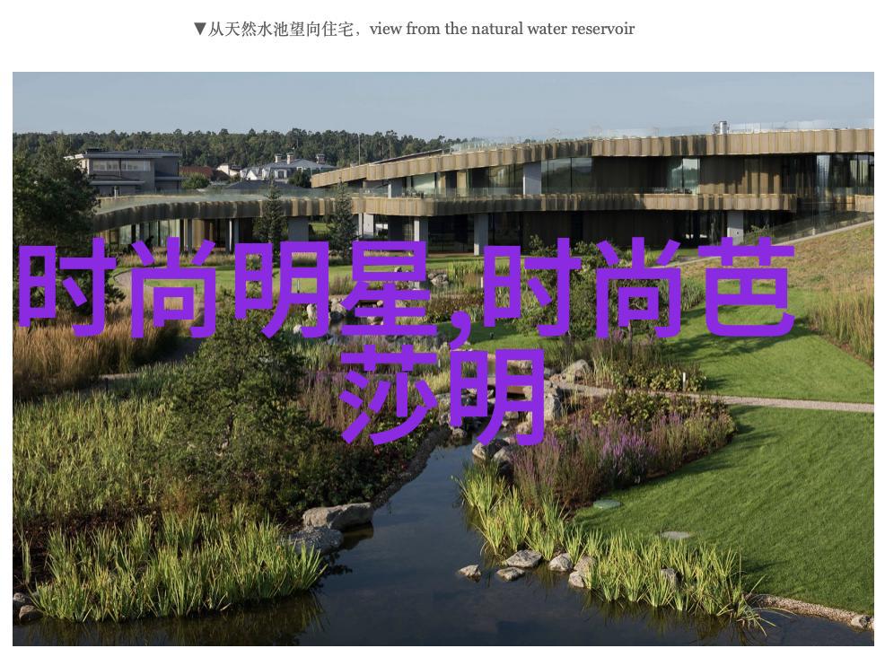 前一个后一个会撑坏的视频揭秘那些让人欲罢不能的视觉盛宴