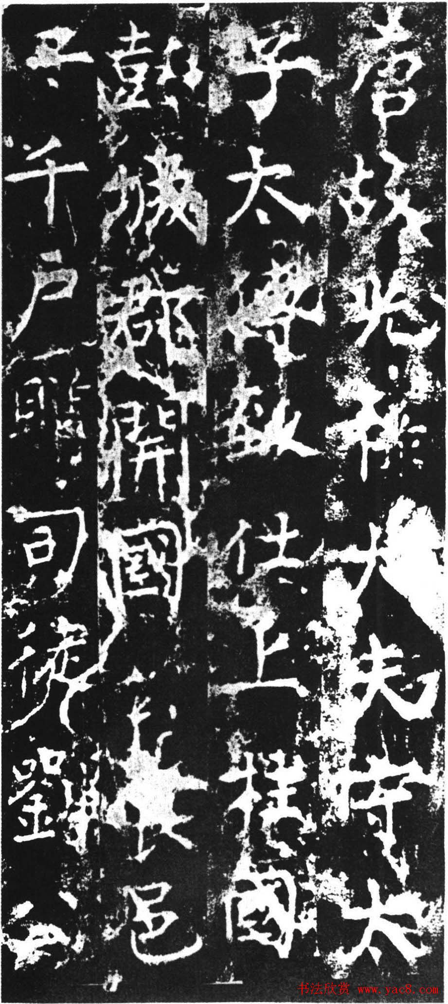 张晓龙演员张晓龙的精彩事业