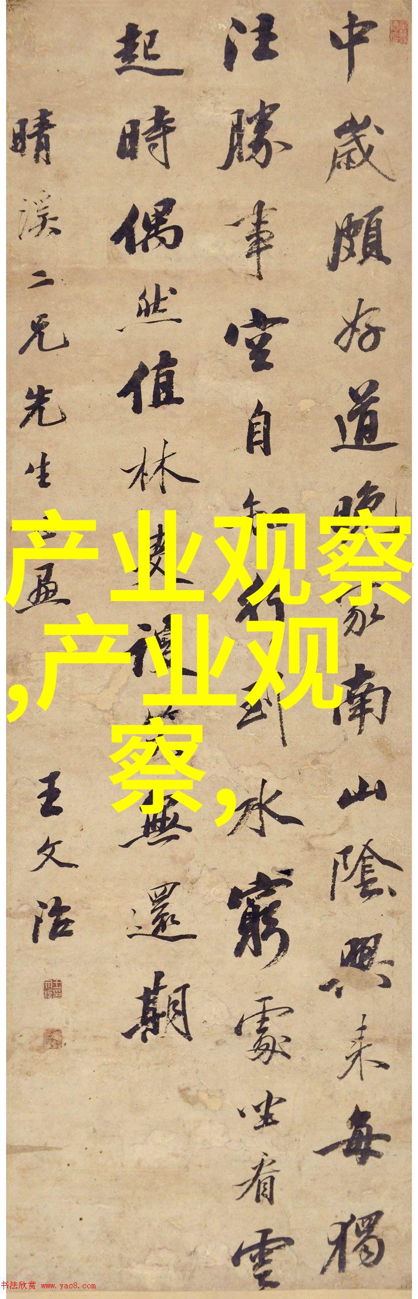 学美发美容从基础知识到实战技巧的全过程指导