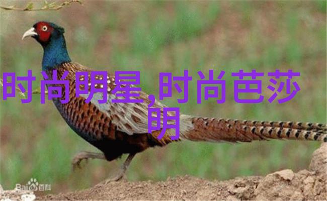 B站宣布收购投资3家日本动画工作室携手天堂动漫在自然景观中绘卷新篇章
