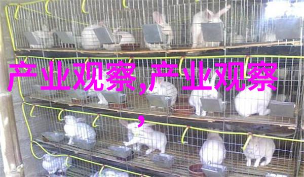 理发艺术的细腻抚摸