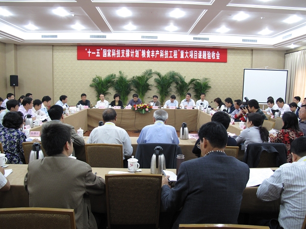 张元寿从画布上的静谧到内心的喧嚣