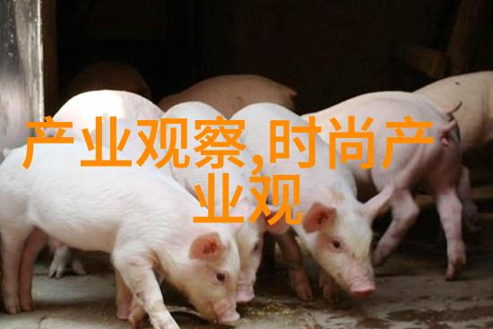 生活点滴我是如何在4700元的预算下完成家具全新换旧的
