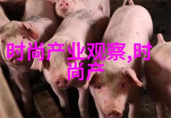 花洒喷头自W的方法家居美化维护技巧