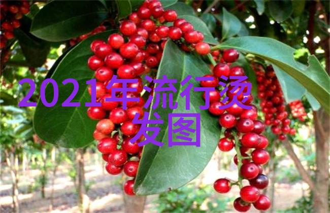 你的太大了我装不下一段关于爱与适应的故事