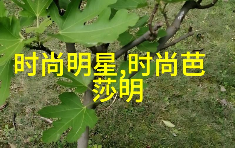 宫廷深沉冷宫皇后的悲欢交织