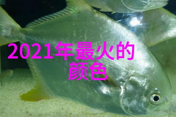 最新女头发型图鉴全解析