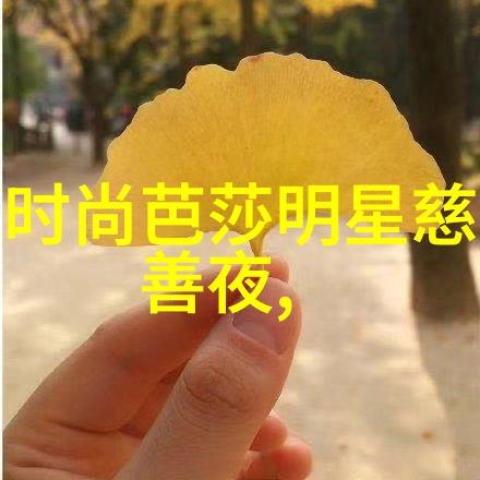 月圆之夜的高速之旅免费通行的秘密