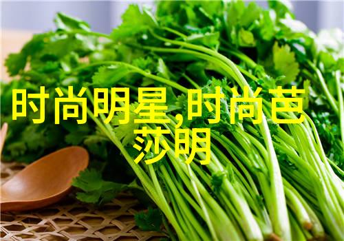 秀发艺术之道探索美发学校的魅力与技艺