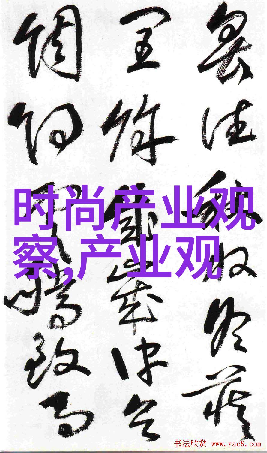 张晓龙追逐梦想的无畏飞翔者