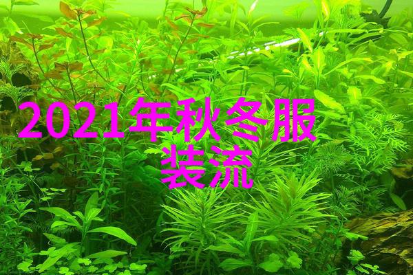 女恐怖分子她们的炸弹不仅能炸毁城市还能炸掉你的笑点