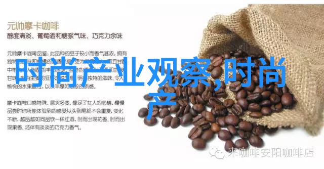 别墅里的轮换2 - 暖阳下的生活交替