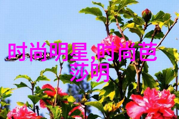 衣邦人的文化传承与现代生活融合